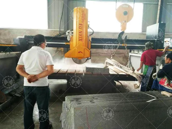 Zdqj – 600 Stone Blade Cutting Machine for Marble and Granite Tile with Bridge Type