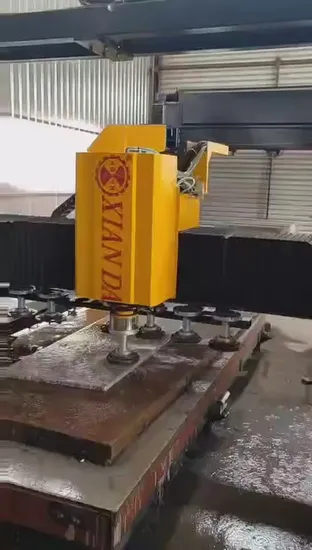 Xianda Gantry Type Intelligent Polishing Machine